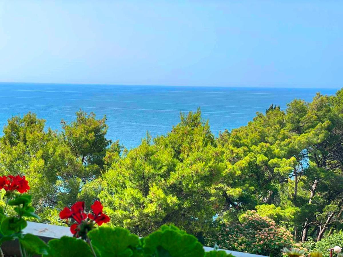 Apartments Lungo Mare Ulcinj Zewnętrze zdjęcie